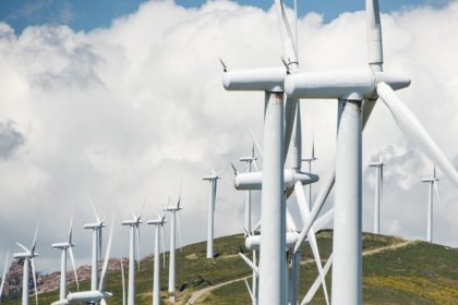 Klimaschutz? Über Tausend Hektar Wald für Bau von Windkraftanlagen gerodet