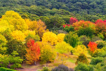 Herbstbild – Von Friedrich Hebbel