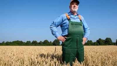 Bauernverband zu Bauerndemo: „Aktionsplan Insektenschutz hat Fass zum Überlaufen gebracht“
