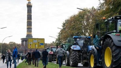 NEWSTICKER Bauern-Demo: Traktoren legen Verkehr lahm – Bauernpräsident hat volles Verständnis für Proteste