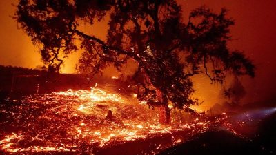 Mehrere Großbrände in Kalifornien – Tausende Einwohner evakuiert