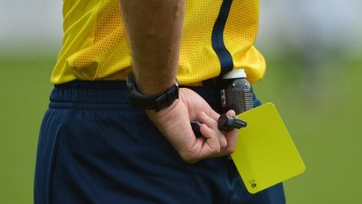 DFB-Führung sichert Referees Unterstützung zu