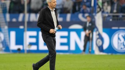 «Wochen der Wahrheit»: Trainer Favre und BVB in Zugzwang