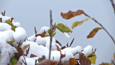 Winter hält mit erstem Schneefall am Tegernsee Einzug