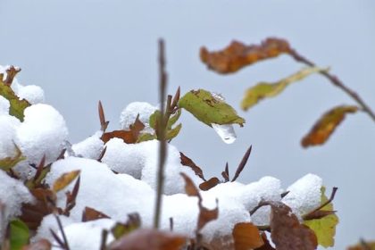 Winter hält mit erstem Schneefall am Tegernsee Einzug