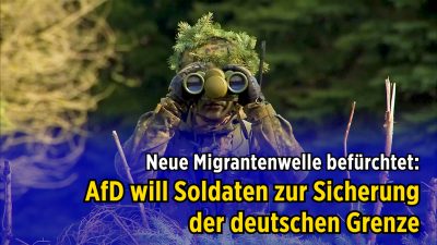 AfD-Verteidigungspolitiker fordert Bundeswehreinsatz zum Grenzschutz