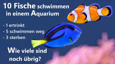Mathe im Aquarium: Fisch-Rätsel treibt Internet in den Wahnsinn. Können Sie es in einer Minute lösen?