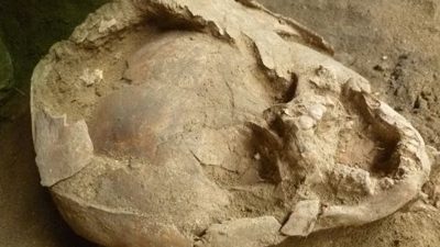 Helme aus Kinderschädeln: Rätsel um 2000 Jahre alte Kleinkind-Gräber aus Ecuador
