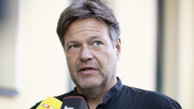 Wirtschaft in Gefahr: Grünen-Chef Habeck will Abkehr von schwarzer Null