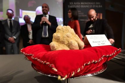 Rund ein Kilogramm schwerer weißer Trüffel für 120.000 Euro versteigert