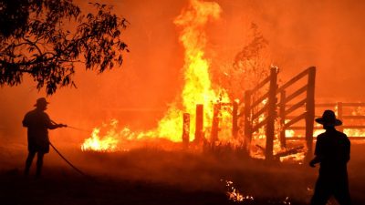Buschbrände in Australien nur noch wenige Kilometer von Sydney entfernt – Schulen geschlossen