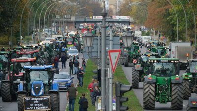FDP: Die Bauern sind „viel zu lange ruhig geblieben“ – Grüne: Proteste sind „falscher Ansatz“