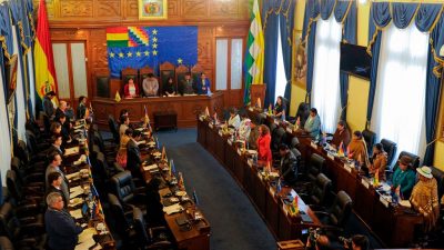 Boliviens Senat macht Weg für Neuwahl frei – ohne Morales