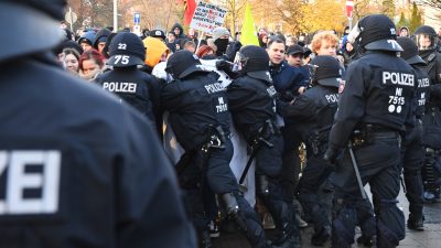 AfD-Parteitag in Braunschweig gestartet