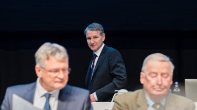 AfD-Landeschef Höcke unterstützt Chrupalla und Weidel ausdrücklich