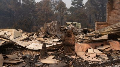 Heftige Buschbrände in Australien bedrohen nun auch Sydney und Umgebung