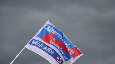 Loch von einer Million Euro: AfD in „schwerer finanzieller Notlage“