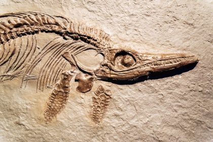 Der Ichthyosaurus – Von Joseph Victor von Scheffel 