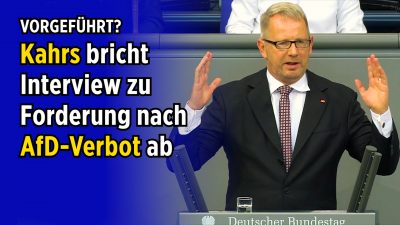 Forderung nach AfD-Verbot: SPD-Politiker bricht Interview ab