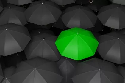 CDU-Vize Strobl wirbt für Schwarz-Grün