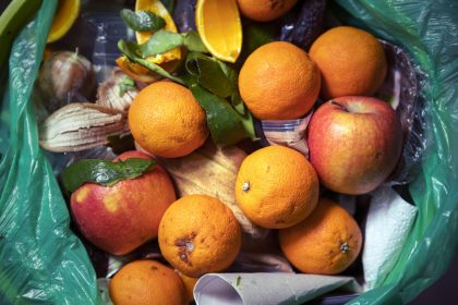 Lebensmittelverschwendung vor Verfassungsgericht – Kann Essensklau strafbar sein?