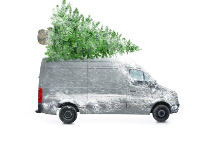 „Gleichbehandlung“: Regierungspräsidium Freiburg untersagt Weihnachtsbaum an Schweizer Grenze