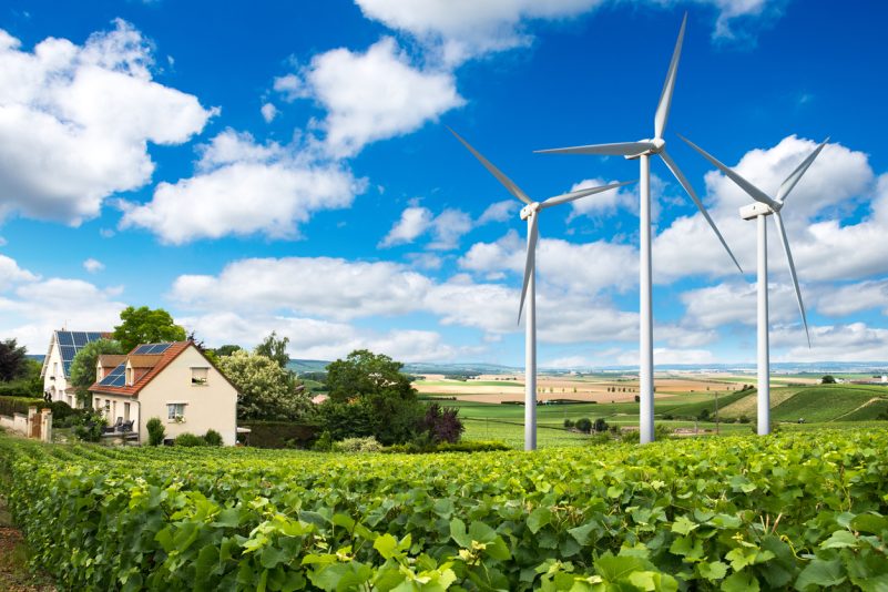 Baerbock kritisiert zu große Abstände zwischen Windkraftanlagen und Wohnsiedlungen