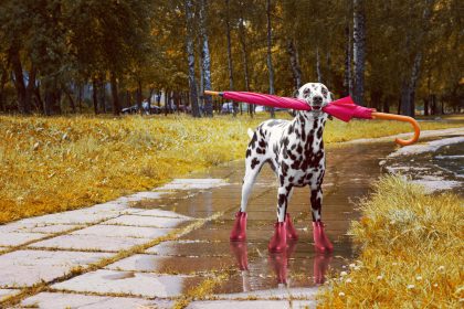 Was hilft gegen den Herbst- und Winterblues?