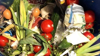 Verfassungsgericht: „Containern“ von Lebensmitteln kann bestraft werden