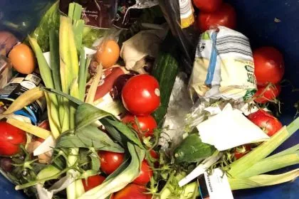 Fürs "Containern" verurteilt: Studentinnen klagen vor Verfassungsgericht