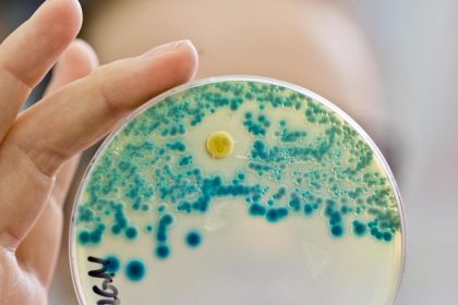 Wissenslücken bei Antibiotika – Gegen Antibiotika resistente Keime töten jährlich Zehntausende