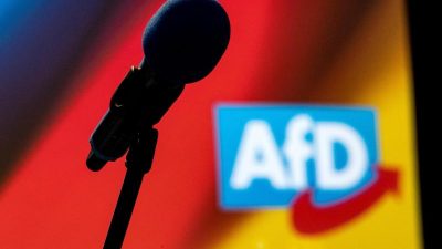 AfD wählt neue Parteispitze: Viele drängen nach vorn
