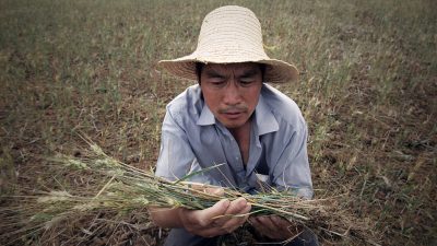 Getreidekrise wegen Handelskrieg: Der Machterhalt der KP Chinas ist in Gefahr
