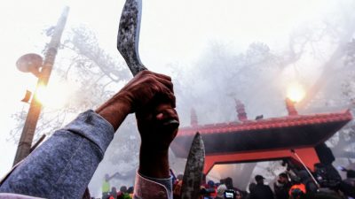 Allen Verboten zum Trotz: Erneut hunderttausende blutige Tieropfer bei Gadhimai-Festival erwartet