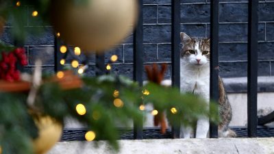 Parlamentseröffnung: Queen verliest Regierungsprogramm von Boris Johnson