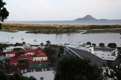 Neuseeland: Giftige Gase machen Bergungen auf Vulkaninsel unmöglich – Verletzte erlitten innere Verbrennungen