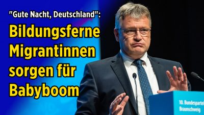 „Implosion unseres Sozialsystems“: Meuthen sieht wegen Armutsmigration und möglichen Klimapässen schwarz