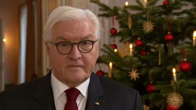 Steinmeier in Weihnachtsansprache: Die Demokratie braucht uns