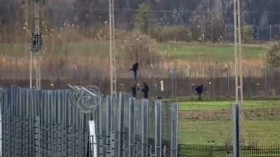 Ungarische Polizei veröffentlicht Aufnahmen von Migranten, die über Grenzzäune klettern