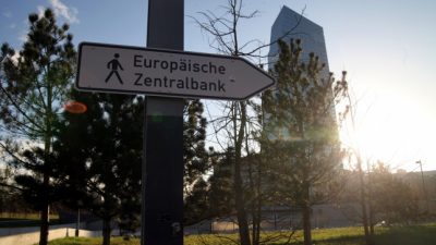 Ökonom Schmidt lehnt „grüne Anleihekäufe“ der EZB ab