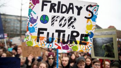 „Fridays-for-Future”-Aktivisten bieten keine Lösungen an: Politologe warnt vor Dramatisierung der Situation