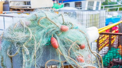 Neue EU-Fangquoten machen deutschen Ostseefischern zu schaffen