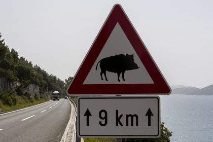 Wildschweinrotte verursacht Unfallserie auf A6 in Baden-Württemberg