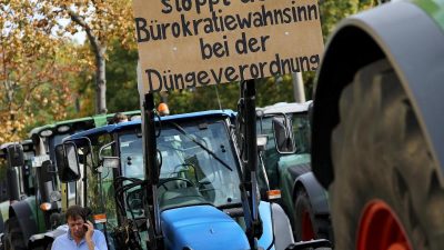 Merkel lädt Bauern zum „Agrargipfel“ ein