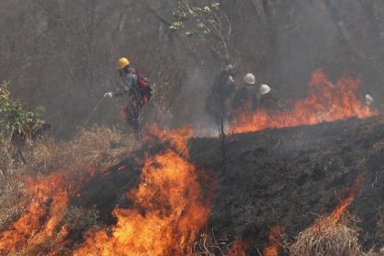 Brandstifter in Bolivien gefährden einzigartiges Ökosystem
