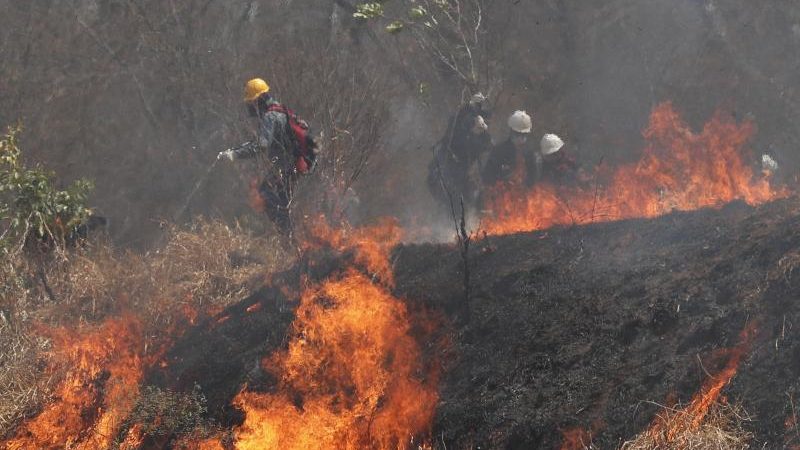 Brandstifter in Bolivien gefährden einzigartiges Ökosystem