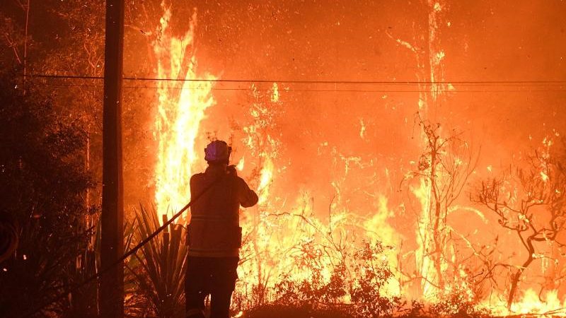 Feuerwehr kämpft bei Sydney gegen „Megafeuer“ – Brand kann nur mit Hilfe von „viel Regen“ gelöscht werden