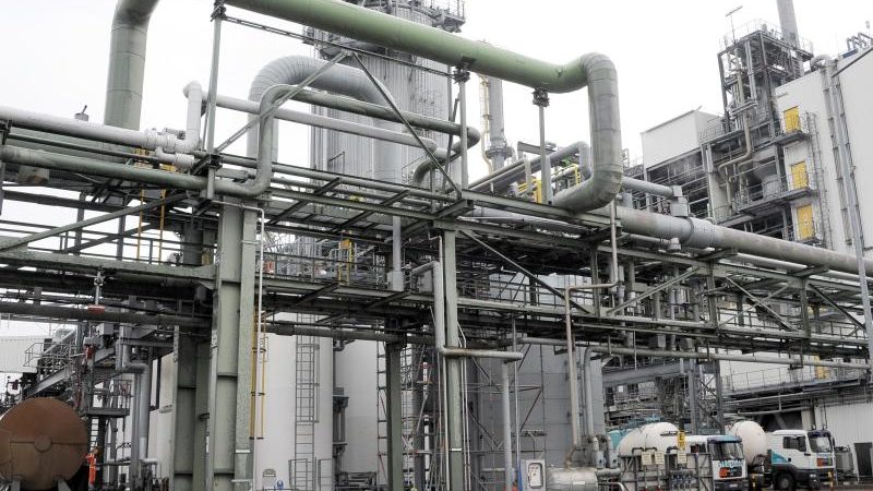 Brandenburg hoff auf BASF-Batteriefabrik in Schwarzheide