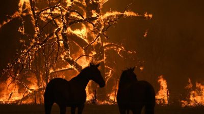 Kampf bei Rekordhitze gegen Buschfeuer in Australien