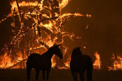 Kampf bei Rekordhitze gegen Buschfeuer in Australien